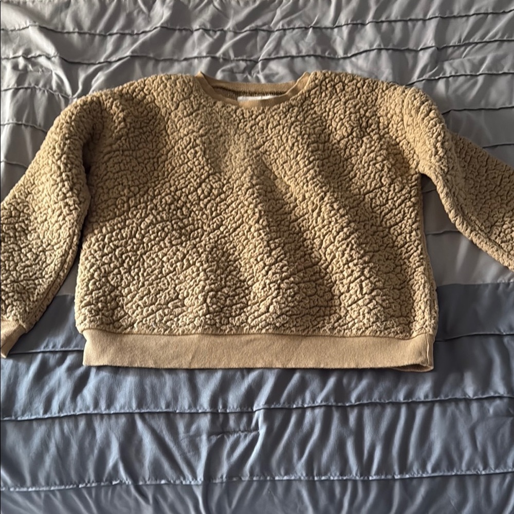 Treasure & Bond Tan Kids Sweater